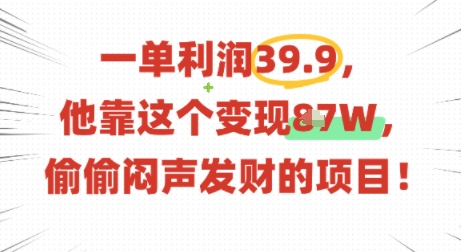 39.9元利润 闷声赚翻天 揭秘神秘变现项目-九零创业网