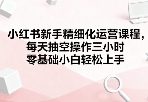 零基础小白 每天3小时 轻松掌握小红书精细化运营-九零创业网