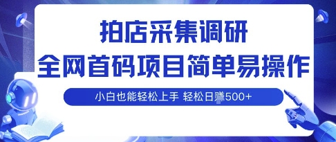 全网首码小白轻松日入5张 拍店调研多账号操作攻略-九零创业网