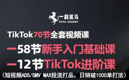 TikTok视频课全攻略 新手进阶 日销千单广告秘籍-九零创业网
