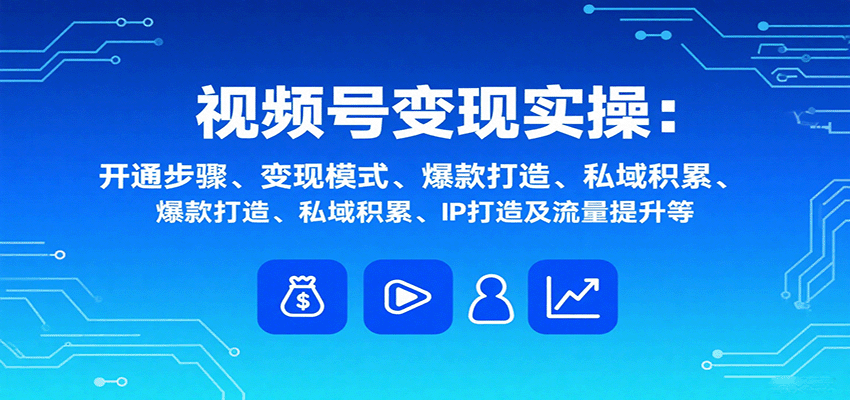 视频号变现全攻略 开通 模式 爆款 私域 IP与流量提升