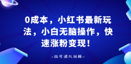 0成本小红书新攻略 小白速涨粉变现秘籍