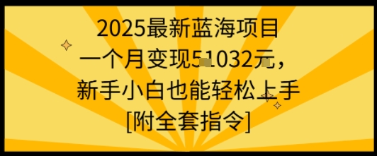 2025蓝海项目 月入过万 小白轻松学 实操指令包-九零创业网