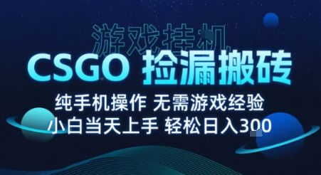 CSGO挂G月入过万 揭秘无游戏搬砖术