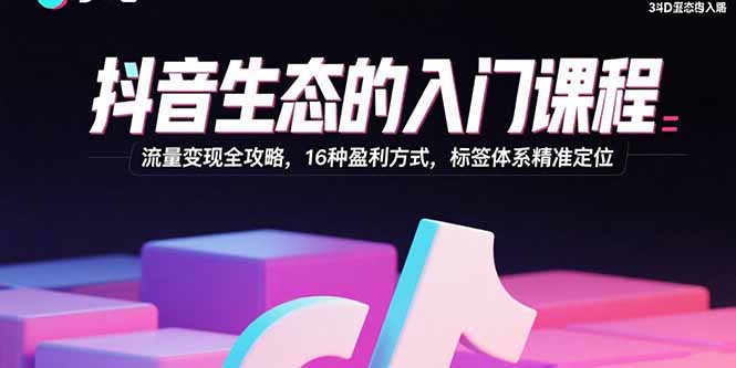 抖音流量变现秘籍 16招盈利攻略 标签定位精准赚钱