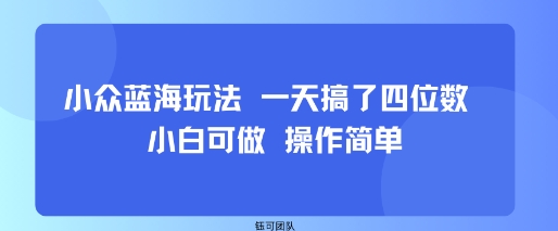 小白轻松上手 蓝海小众玩法 日入四位数