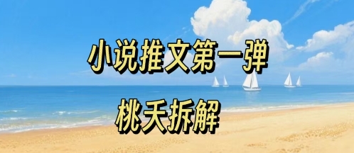 小说推文新手入门 零粉起步 轻松操作全流程-九零创业网