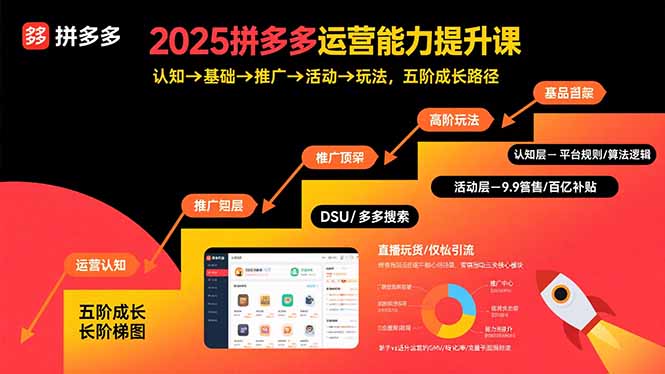 2025拼多多运营五阶飞跃 认知升级 玩转推广与活动-九零创业网