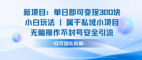 小白轻松日赚三单 无脑引流封号无忧秘籍-九零创业网
