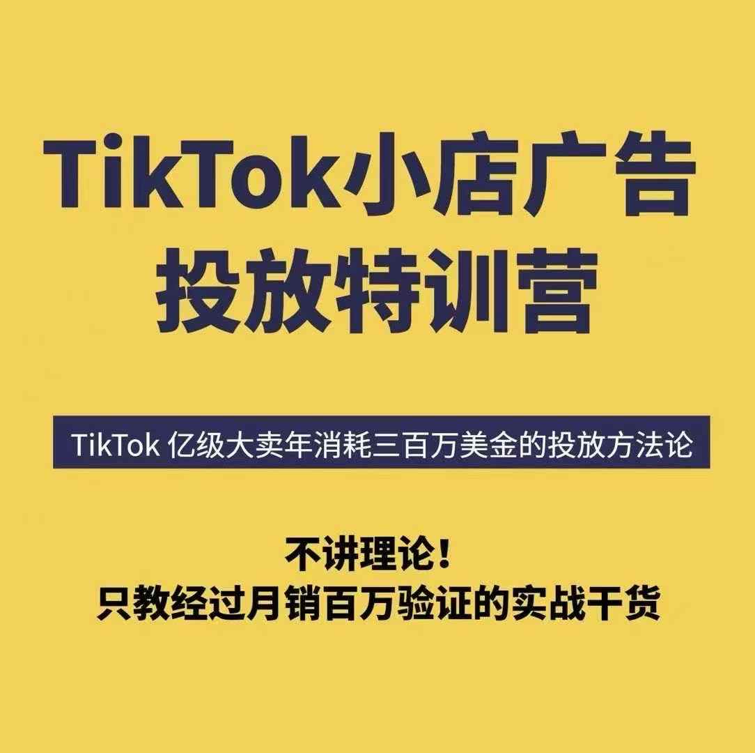 TikTok广告特训营 6天破局月销百万-九零创业网
