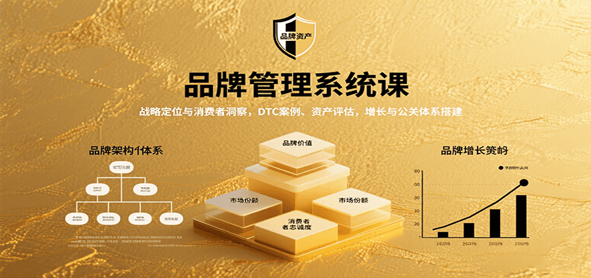 品牌管理课 战略定位 洞察DTC 资产评估与增长公关构建-九零创业网