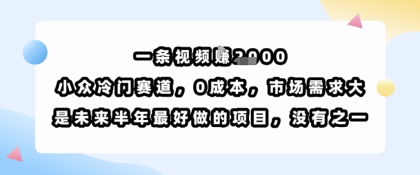 冷门视频赛道 零成本打造 半年内轻松月入过千-九零创业网