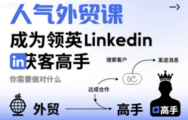 外贸领英高手养成记 解锁Linkedin精准获客秘诀-九零创业网