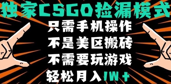 CSGO自动捡漏新玩法 小白轻松月入过万-九零创业网
