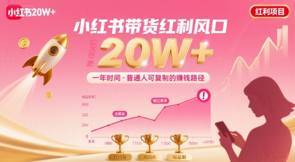 小红书带货 抓住2024年最热红利 年入20万+必看攻略-九零创业网