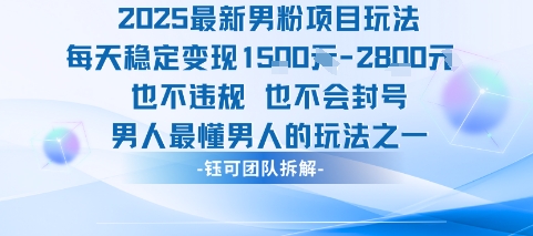 2025男粉项目 每日轻松变现 男性专属玩法 安全无封号-九零创业网
