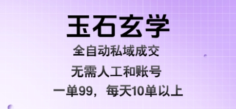 玉石玄学全自动成交 日入千元的私域蓝海秘术-九零创业网