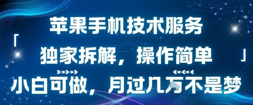 苹果手机技术轻松上手 小白也能月入过万-九零创业网