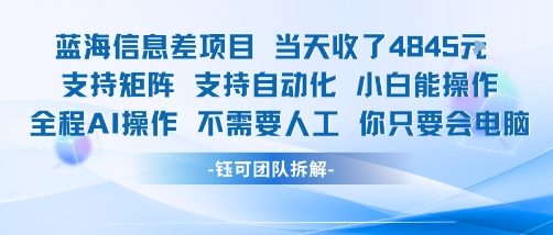 蓝海信息差项目 AI自动化操作 小白轻松日入千元