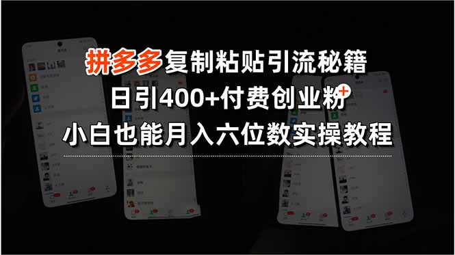 拼多多引流秘籍 日吸400粉 小白月入6万轻松学