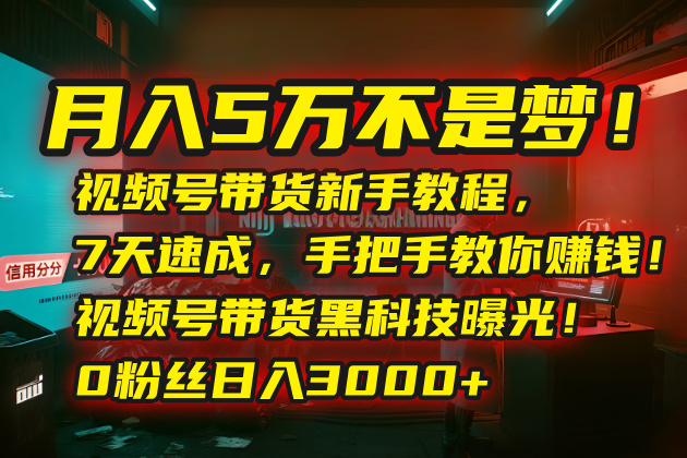 月入5万不再是梦 视频号带货7日速成指南