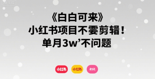 小白轻松上手 小红书月入3万 无需剪辑-九零创业网