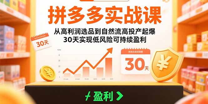 拼多多实战课 30天高利润选品 自然流高投产盈利秘籍-九零创业网