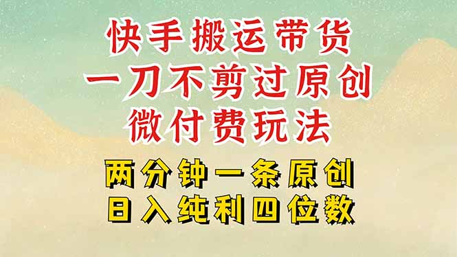 快手黑科技带货 原创不剪 微付费引流 日入四千轻松赚-九零创业网
