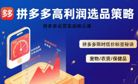 拼多多高利润选品秘籍 限时低价标签策略全解析-九零创业网