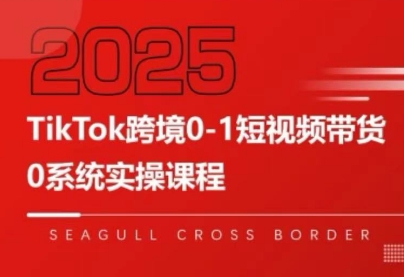 大亿老师教你TikTok短视频带货 从0到爆款