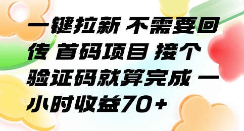 一触即得 首码验证码 70+收益速来-九零创业网