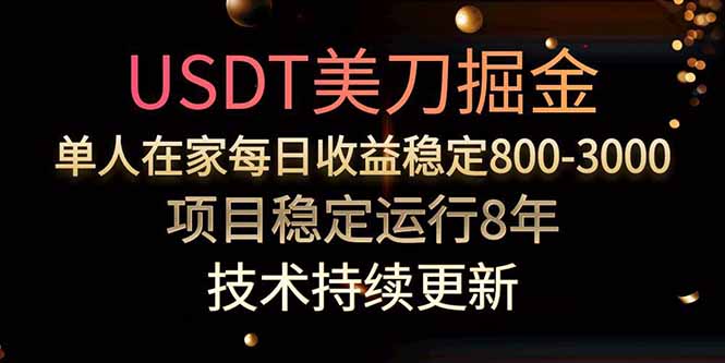 USDT掘金达人 8年稳赚 日入800 3000