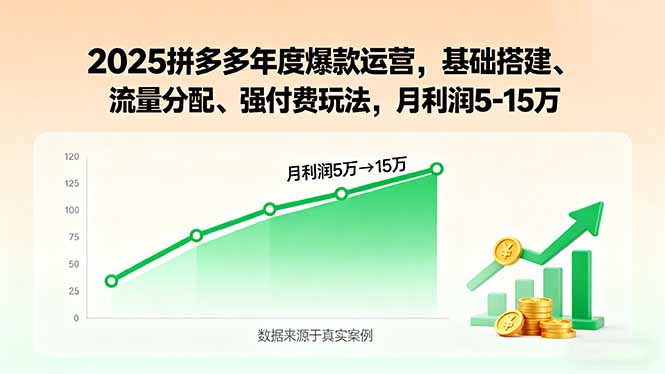2025拼多多爆款攻略 基础搭建+流量布局 月赚5 15万秘籍-九零创业网