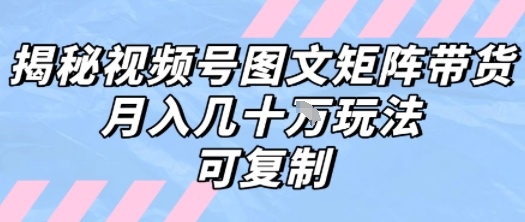 视频号图文矩阵带货攻略 月入W级收益复制法-九零创业网