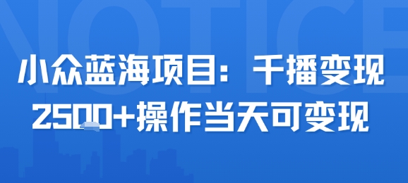 小众蓝海项目 千播变现2.5k+ 一招速成日入-九零创业网