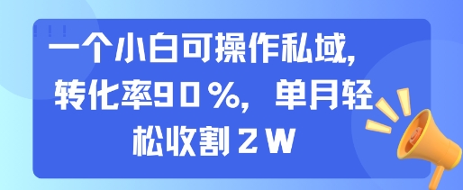 私域小白逆袭 90%转化率 月入2万轻松赚-九零创业网