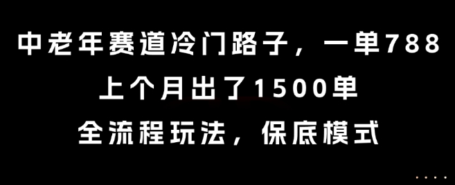 中老年冷门赛道揭秘 月入10万 788元一单 玩法全解析-九零创业网