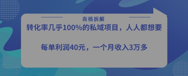 月入过万 私域项目 每单40 50元 高效转化秘诀揭秘-九零创业网