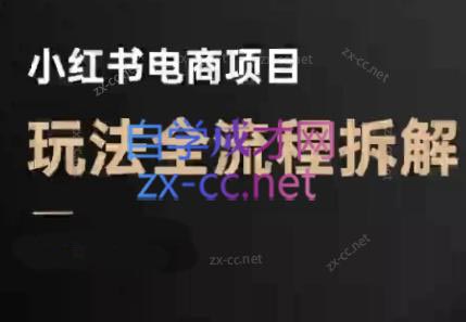 菲菲老师揭秘 小红书电商新玩法 7月必看攻略-九零创业网