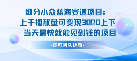 新手快速变现蓝海项目 日入千+ 长期稳定收益