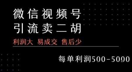 二胡入门必备 教程热销 一单5张 轻松盈利-九零创业网