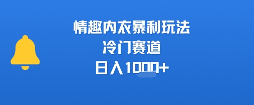 情趣内衣冷门商机 日赚千金独门秘籍-九零创业网