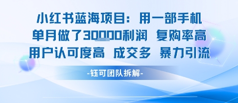 手机操作 月入过万 小红书蓝海项目 小白轻松赚3万-九零创业网