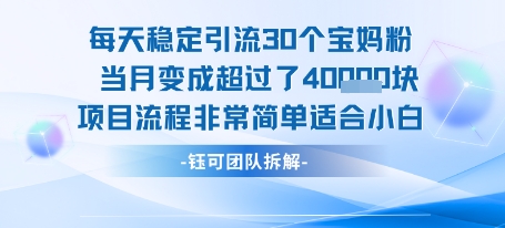 小白快速上手 日引流30 月入4万轻松达-九零创业网