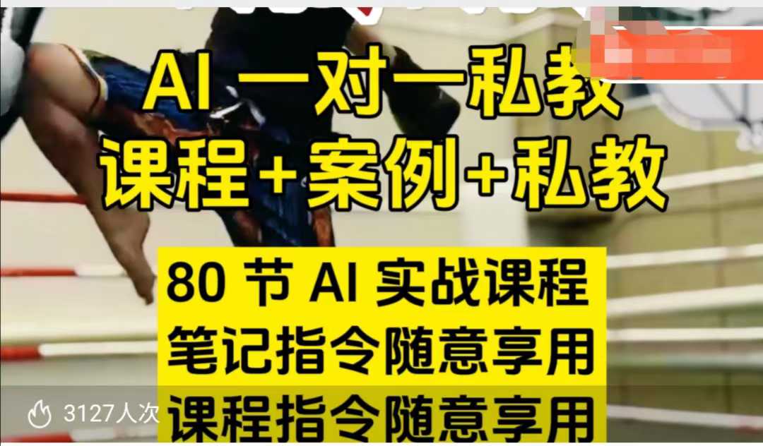 AI实战课精华集 80节课程+案例 7月更新笔记指令宝库-九零创业网