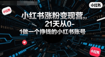 21天小红书涨粉变现营 打造赚钱账号攻略