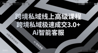 跨境私域成交加速 AI客服赋能3.0课程秘籍-九零创业网