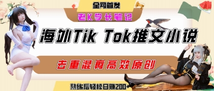 海外TikTok小说推文 暴力项目 轻松日入饭钱-九零创业网