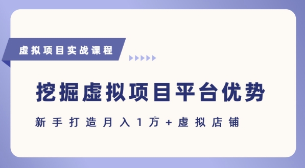 巧用平台优势 虚拟项目新手月入过万攻略-九零创业网