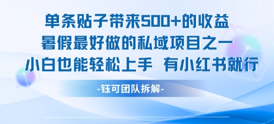 暑假私域爆款 小红书一帖赚五金 小白轻松上手-九零创业网